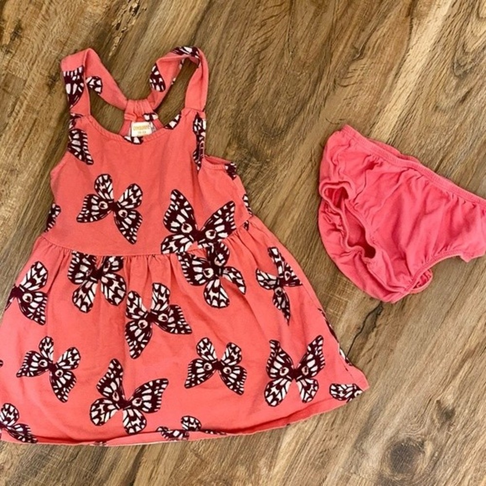 Gymboree butterfly dress